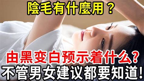 女人的陰毛|【女人私密話】在妳想刮掉它之前，先了解陰毛的 11 個重要知識